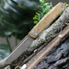 Flash Sale 🎉 Real Steel Gslip Olive Wood 7841W, 3.46" VG-10 Satin Plain Blade, Olive Wood Handle 🔥