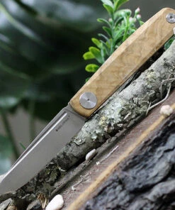 Flash Sale 🎉 Real Steel Gslip Olive Wood 7841W, 3.46" VG-10 Satin Plain Blade, Olive Wood Handle 🔥