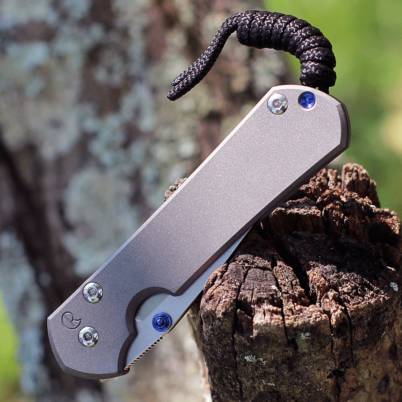 New 😀 Chris Reeve Knives Small Sebenza 31, 2.99" CPM S45VN Stonewashed Drop Point Blade (S31-1000) ✨ 3 New 😀 Chris Reeve Knives Small Sebenza 31, 2.99" CPM S45VN Stonewashed Drop Point Blade (S31-1000) ✨ - Image 3