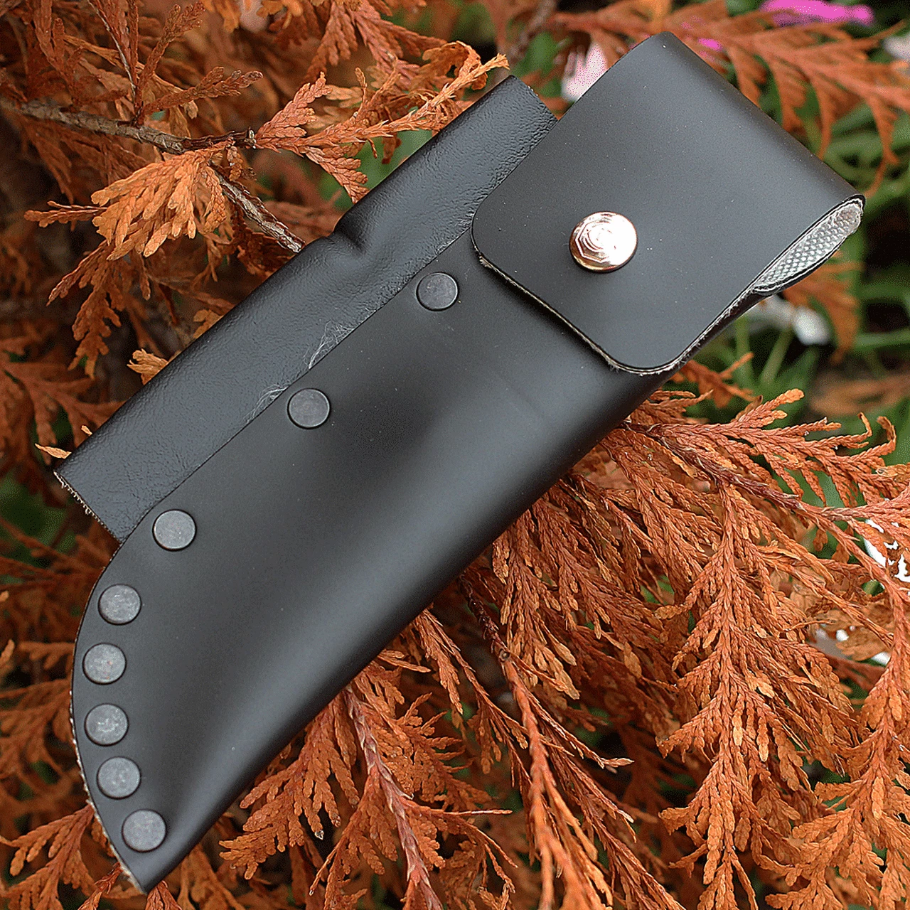 New 😍 Svord Knives Svord Amerikiwi Skinner - White (3.5" 15N20 Satin) AMKIW 🛒 3 New 😍 Svord Knives Svord Amerikiwi Skinner - White (3.5" 15N20 Satin) AMKIW 🛒 - Image 3