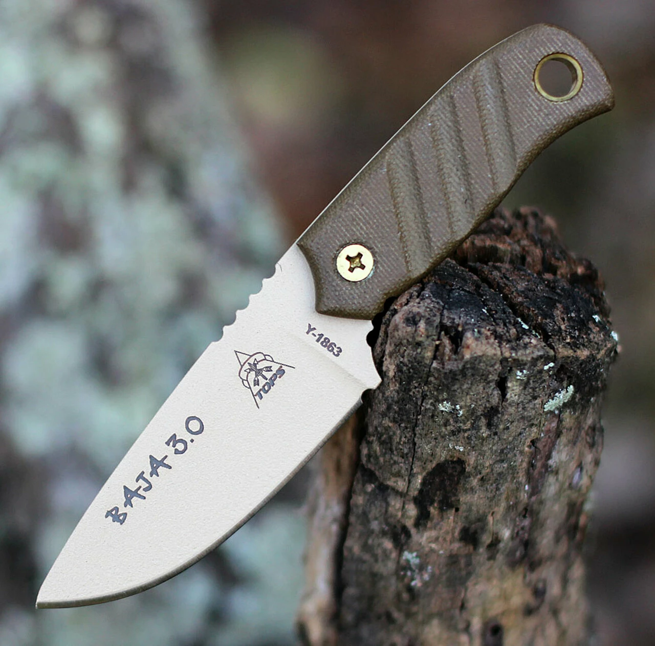 Top 10 🧨 TOPS Baja 3.0 Fixed Blade, Coyote Tan 1095 High Carbon, Green Micarta Handle 🤩 1 Top 10 🧨 TOPS Baja 3.0 Fixed Blade, Coyote Tan 1095 High Carbon, Green Micarta Handle 🤩