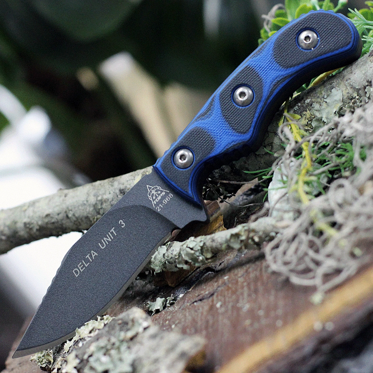 Buy 👏 Tops Delta Unit 3 DEUT-03, 3.00" 1095 High Carbon Steel, Blue/black G-10 Handle 🎉 1 Buy 👏 Tops Delta Unit 3 DEUT-03, 3.00" 1095 High Carbon Steel, Blue/black G-10 Handle 🎉