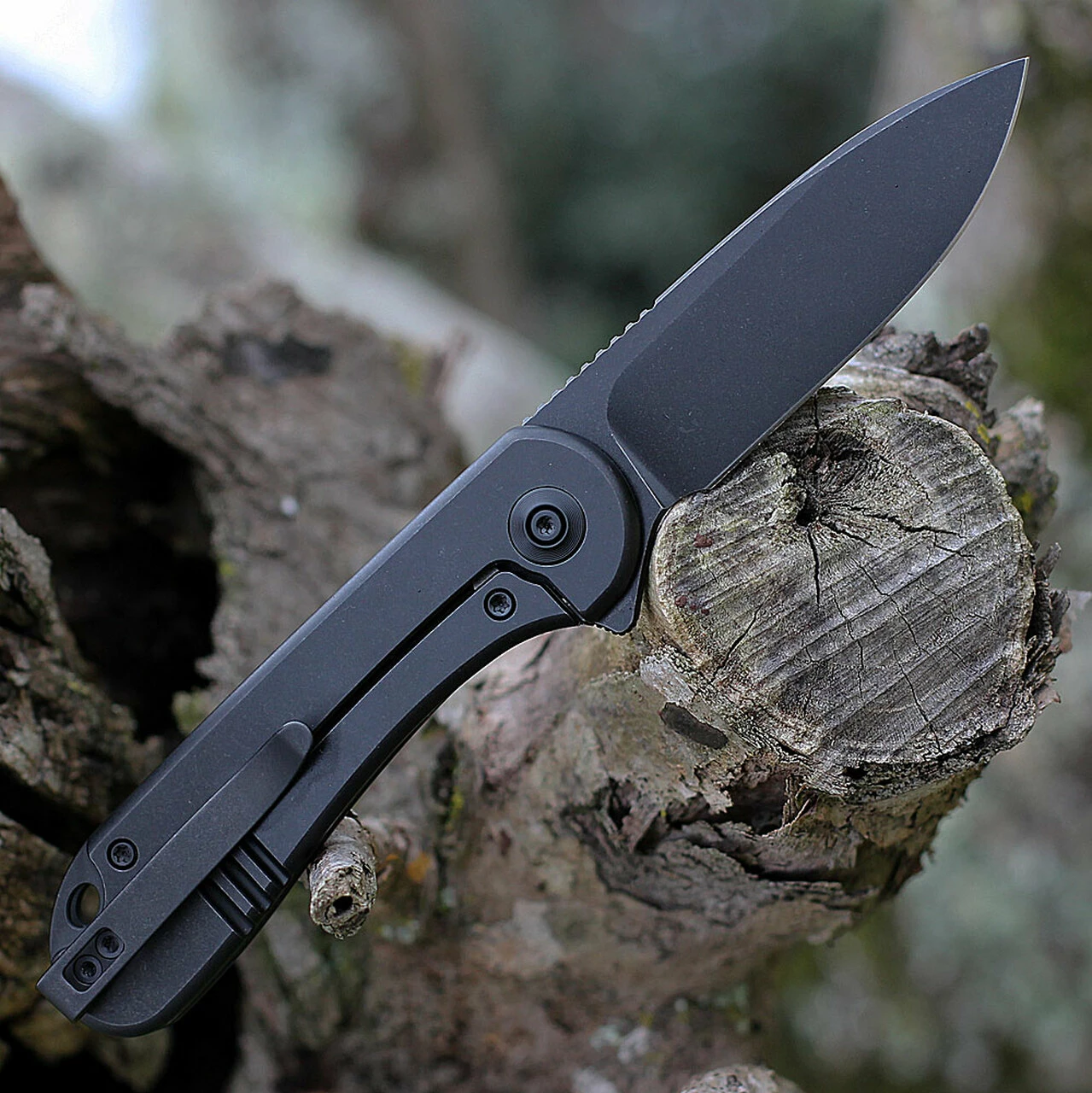 Coupon 🌟 We Knife Co. WE Knife Elementum Frame Lock - Blk Ti (3" CPM 20CV Blk SW) WE18062X-3 🔔 2 Coupon 🌟 We Knife Co. WE Knife Elementum Frame Lock - Blk Ti (3" CPM 20CV Blk SW) WE18062X-3 🔔 - Image 2