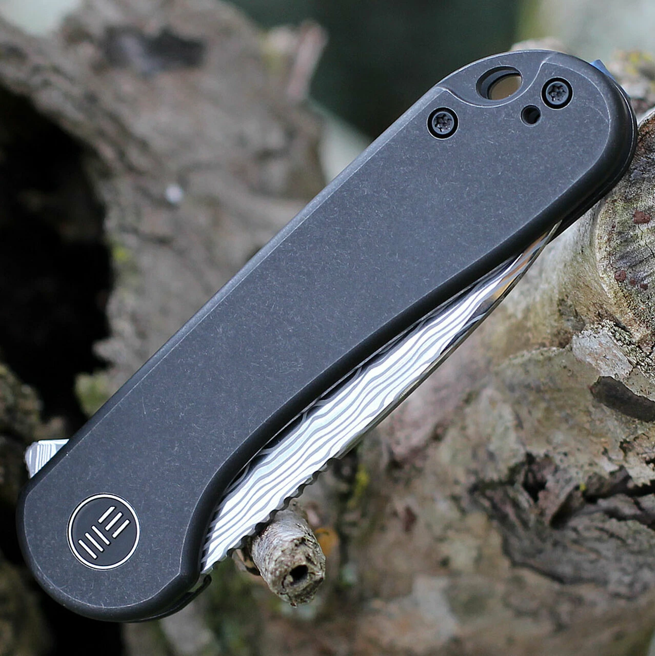 Coupon ✔️ We Knife Co. WE Knife Elementum Frame Lock - Blk Ti (3" Hakkapella Damasteel) WE18062X-DS1 🤩 3 Coupon ✔️ We Knife Co. WE Knife Elementum Frame Lock - Blk Ti (3" Hakkapella Damasteel) WE18062X-DS1 🤩 - Image 3