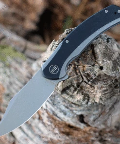 Outlet 🎉 We Knife Co. WE Knife Snick - Ti / Blk G10 (3.5" CPM 20CV Gray SW) WE19022F-1 ✨