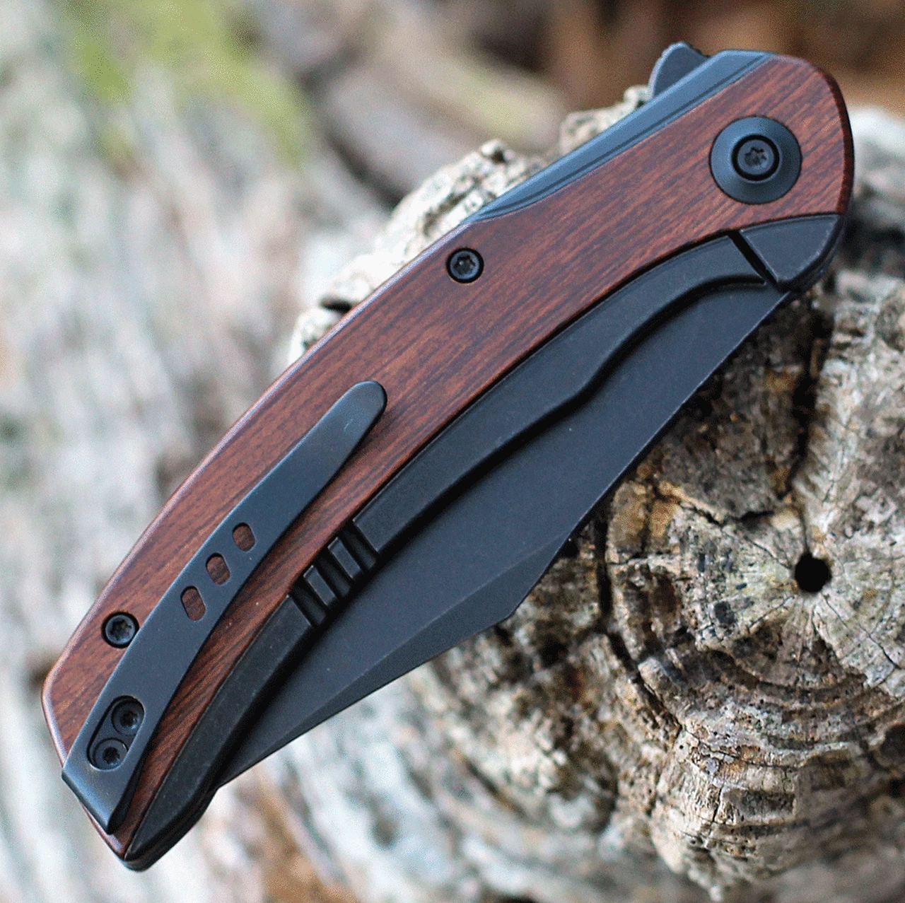 Outlet 👍 We Knife Co. WE Knife Snick - Blk Ti / Cuibourtia Wood (3.5" CPM 20CV Blk SW) WE19022F-3 ✨ 4 Outlet 👍 We Knife Co. WE Knife Snick - Blk Ti / Cuibourtia Wood (3.5" CPM 20CV Blk SW) WE19022F-3 ✨ - Image 4