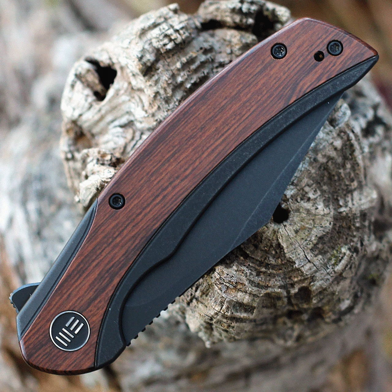 Outlet 👍 We Knife Co. WE Knife Snick - Blk Ti / Cuibourtia Wood (3.5" CPM 20CV Blk SW) WE19022F-3 ✨ 3 Outlet 👍 We Knife Co. WE Knife Snick - Blk Ti / Cuibourtia Wood (3.5" CPM 20CV Blk SW) WE19022F-3 ✨ - Image 3