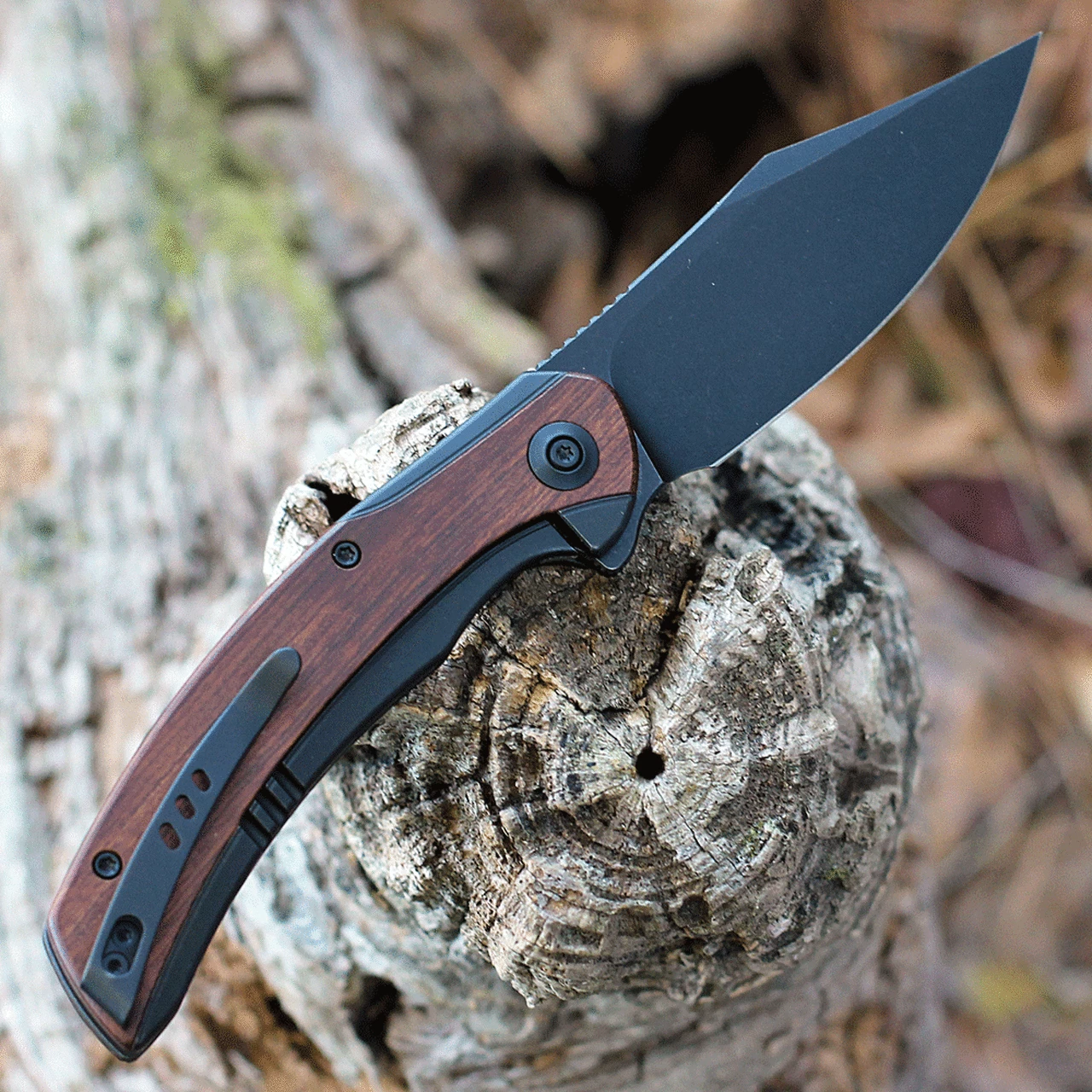 Outlet 👍 We Knife Co. WE Knife Snick - Blk Ti / Cuibourtia Wood (3.5" CPM 20CV Blk SW) WE19022F-3 ✨ 2 Outlet 👍 We Knife Co. WE Knife Snick - Blk Ti / Cuibourtia Wood (3.5" CPM 20CV Blk SW) WE19022F-3 ✨ - Image 2