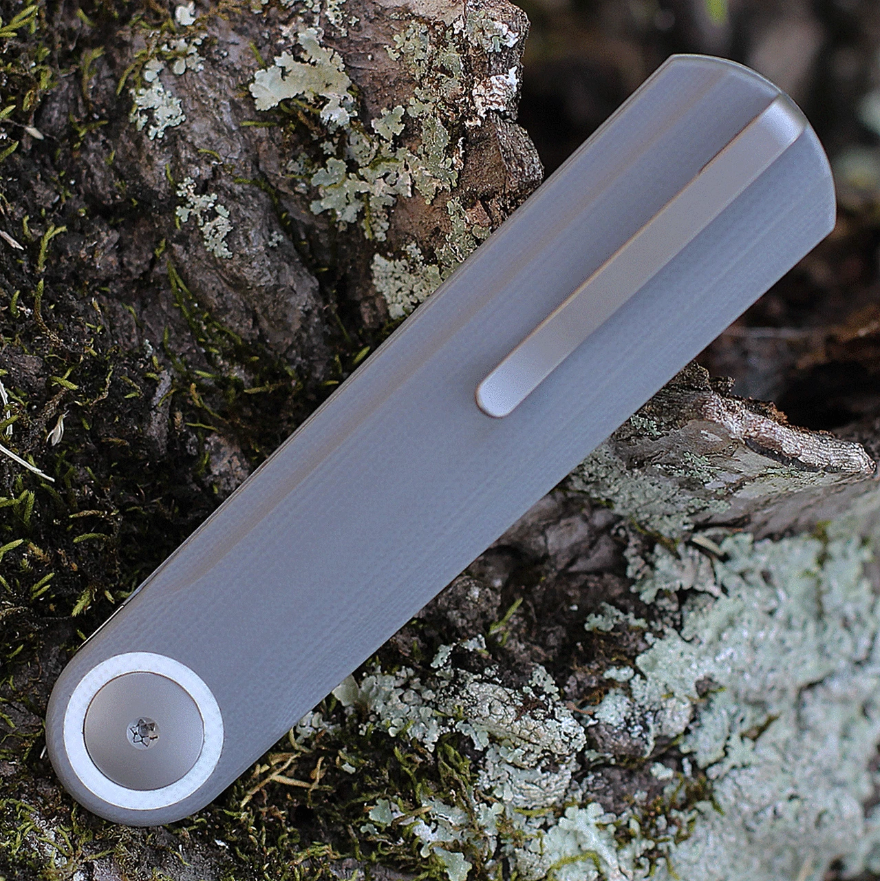 Best deal 🤩 WE Knife Co. Eidolon - Gray G-10 Integral (2.86" CPM-20CV SW) 19074B-A ❤️ 4 Best deal 🤩 WE Knife Co. Eidolon - Gray G-10 Integral (2.86" CPM-20CV SW) 19074B-A ❤️ - Image 4