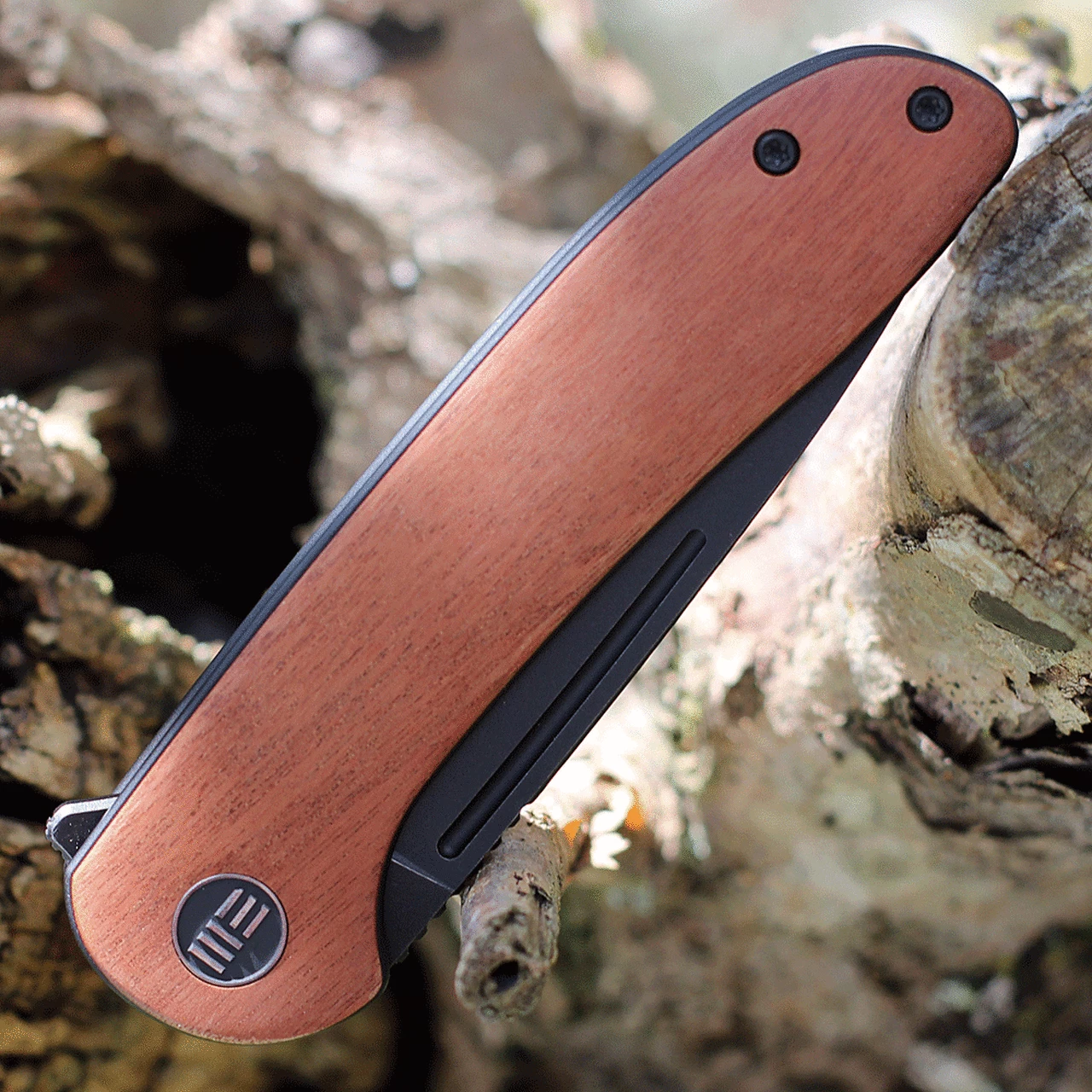 Budget 💯 WE Knife Co. Saakshi - Cuibourtia Wood / Black Ti (3.3" CPM-20CV Black SW) 20020C-3 ✨ 3 Budget 💯 WE Knife Co. Saakshi - Cuibourtia Wood / Black Ti (3.3" CPM-20CV Black SW) 20020C-3 ✨ - Image 3