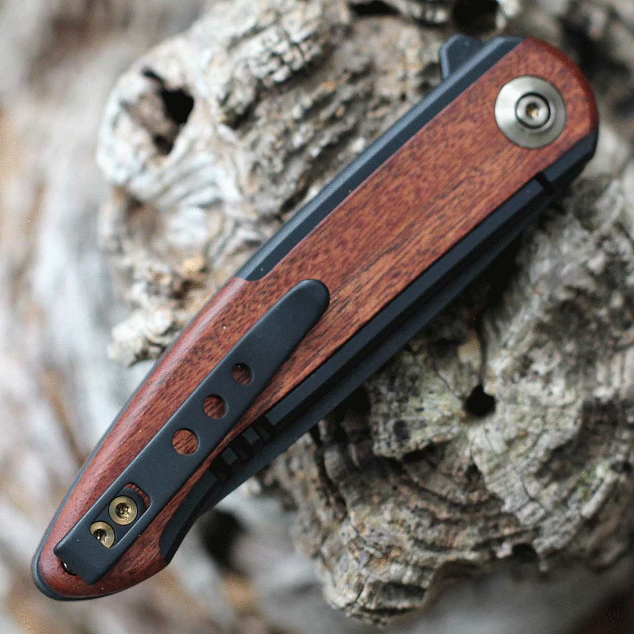 Promo 🧨 We Knife Co. WE Knife Smooth Sentinel - Blk Ti/Cuiboutia (3" CPM 20CV Blk) WE20043-3 ❤️ 4 Promo 🧨 We Knife Co. WE Knife Smooth Sentinel - Blk Ti/Cuiboutia (3" CPM 20CV Blk) WE20043-3 ❤️ - Image 4