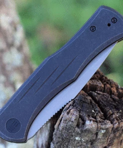 Buy 😀 We Knife Co. WE Knife Primoris Black Ti (3.5" CPM 20CV Gray SW) 20047A-2 😍 -Automatic Knives shop WE20047A 2.3 97285.1632322465