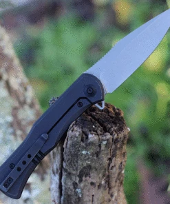 Buy 😀 We Knife Co. WE Knife Primoris Black Ti (3.5" CPM 20CV Gray SW) 20047A-2 😍 -Automatic Knives shop WE20047A 2 82117.1632322465