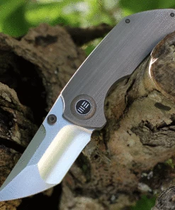 Top 10 🎁 WE Knife Co. Thug 2103A, 2.69" CPM-20CV Satin Compound Tanto Blade, Gray Titanium Handle 🌟