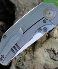 Top 10 🎁 WE Knife Co. Thug 2103A, 2.69" CPM-20CV Satin Compound Tanto Blade, Gray Titanium Handle 🌟 -Automatic Knives shop WE2103A.2 17909.1624391962