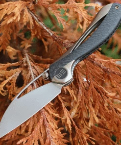 Brand new ✨ We Knife Co. We Knife Pleroma - Champagne Ti / CF (2.95” M390 Satin) 821B 🎉