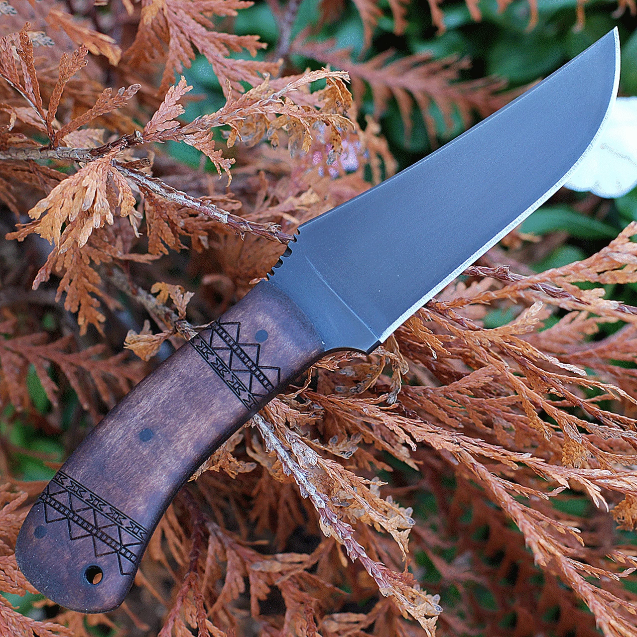 Best deal 👍 Winkler Knives Belt Knife 9.25" Fixed Blade Tribal Maple Handle ⌛ 2 Best deal 👍 Winkler Knives Belt Knife 9.25" Fixed Blade Tribal Maple Handle ⌛ - Image 2