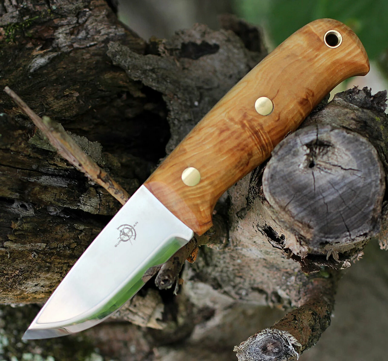 Flash Sale ⭐ Helle 630 Wabakimi, 3.307" Triple Laminated SS Plain Blade, Curle Birch Handle ❤️ 2 Flash Sale ⭐ Helle 630 Wabakimi, 3.307" Triple Laminated SS Plain Blade, Curle Birch Handle ❤️ - Image 2