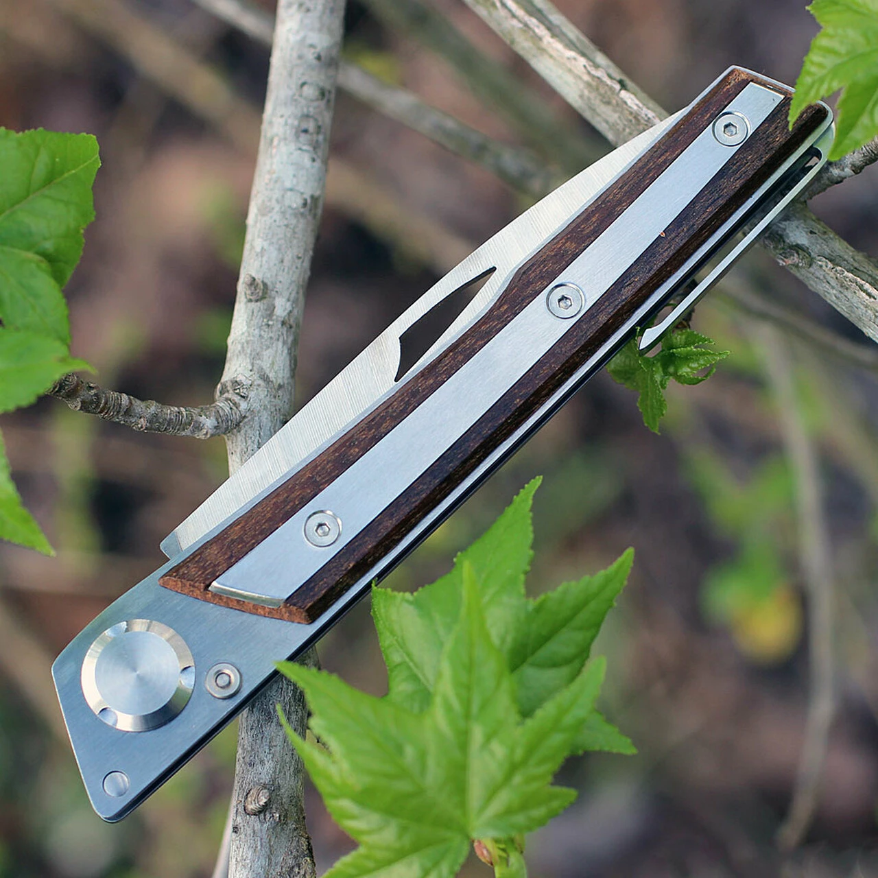 Wholesale 🛒 Actilam S4CWC Wood Folder w/ Clip, 3.375 in 14C28N SS Plain Blade ✨ 3 Wholesale 🛒 Actilam S4CWC Wood Folder w/ Clip, 3.375 in 14C28N SS Plain Blade ✨ - Image 3