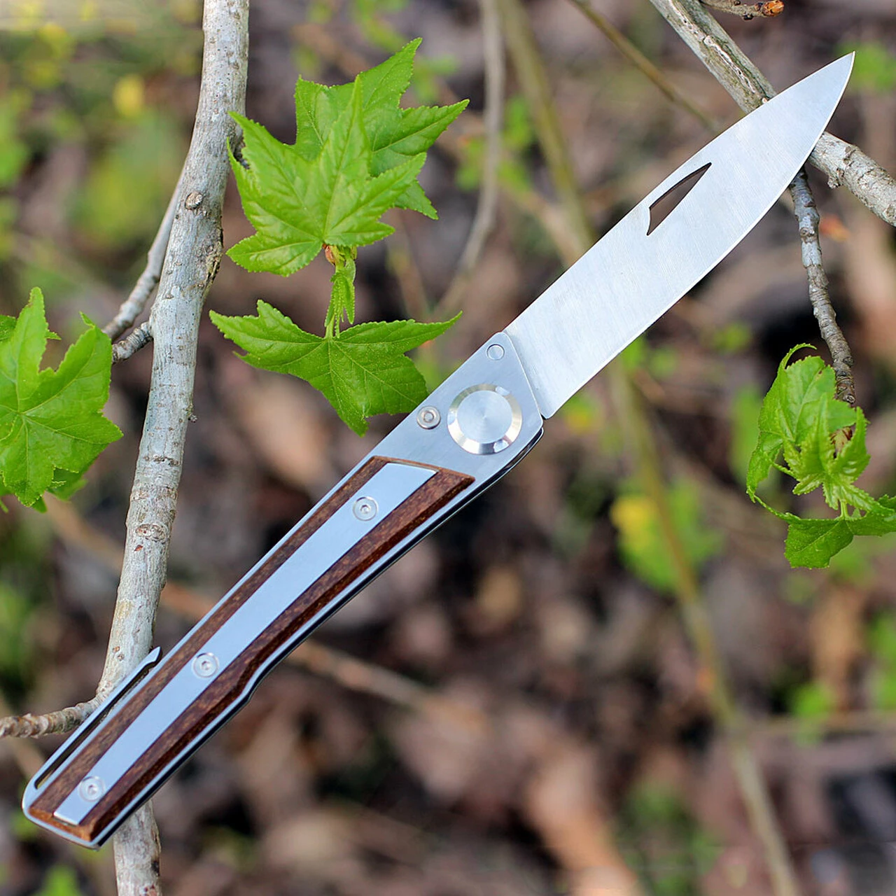 Wholesale 🛒 Actilam S4CWC Wood Folder w/ Clip, 3.375 in 14C28N SS Plain Blade ✨ 2 Wholesale 🛒 Actilam S4CWC Wood Folder w/ Clip, 3.375 in 14C28N SS Plain Blade ✨ - Image 2