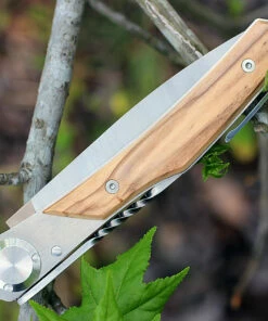 New 💯 Actilam T3WC Olive Wood Folder w/ Clip, 3.25 in X50CrMoV15N Plain Blade ❤️ 8 New 💯 Actilam T3WC Olive Wood Folder w/ Clip, 3.25 in X50CrMoV15N Plain Blade ❤️ -Automatic Knives shop actt3wc.1 41350.1566585971