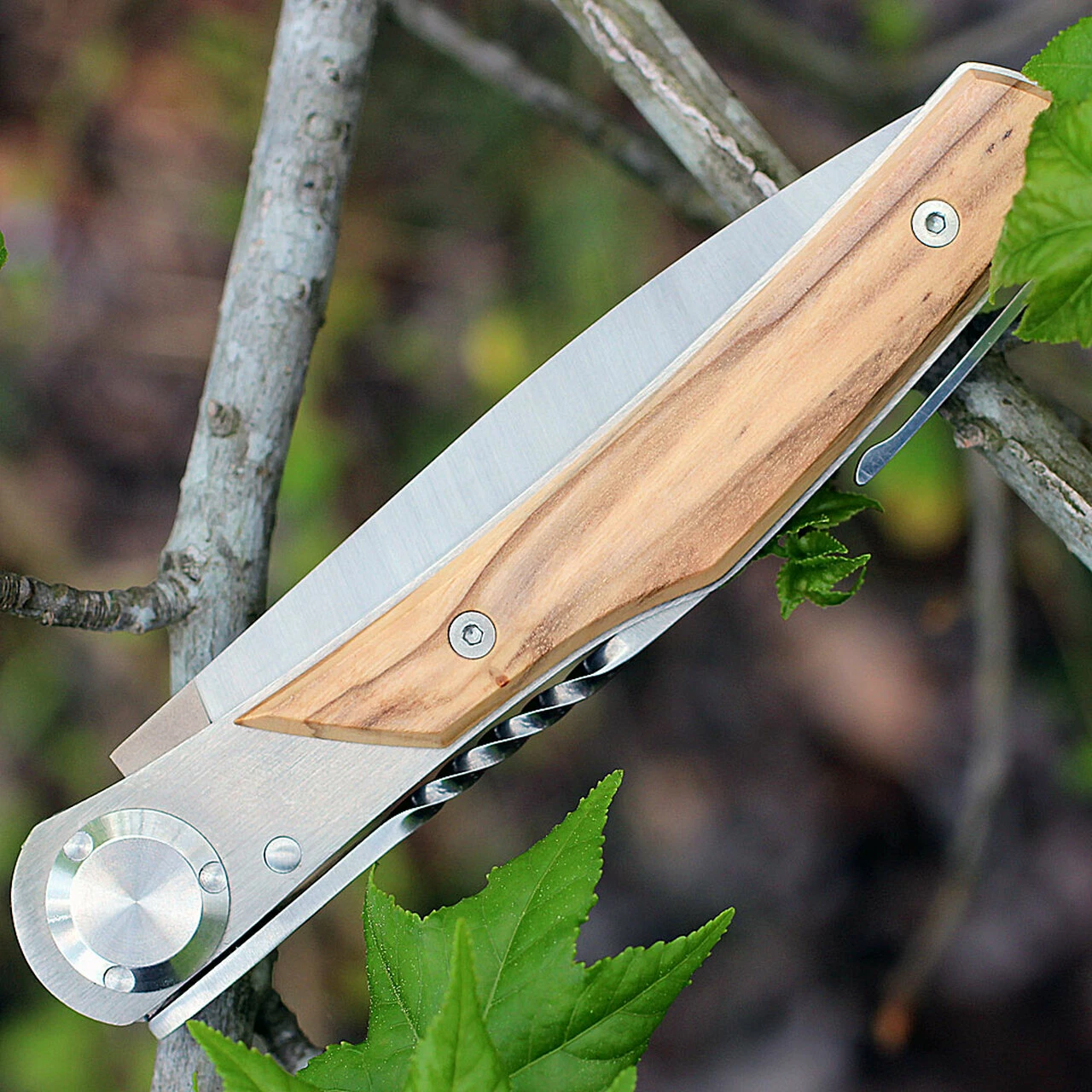 New 💯 Actilam T3WC Olive Wood Folder w/ Clip, 3.25 in X50CrMoV15N Plain Blade ❤️ 4 New 💯 Actilam T3WC Olive Wood Folder w/ Clip, 3.25 in X50CrMoV15N Plain Blade ❤️ - Image 4