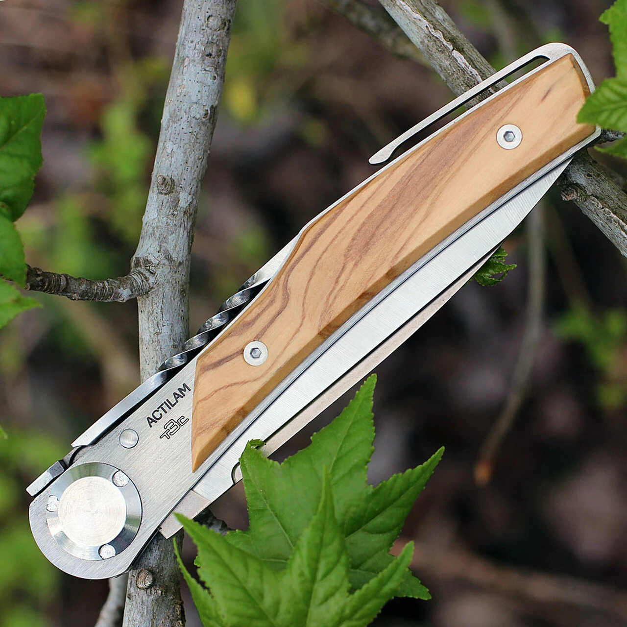 New 💯 Actilam T3WC Olive Wood Folder w/ Clip, 3.25 in X50CrMoV15N Plain Blade ❤️ 5 New 💯 Actilam T3WC Olive Wood Folder w/ Clip, 3.25 in X50CrMoV15N Plain Blade ❤️ - Image 5
