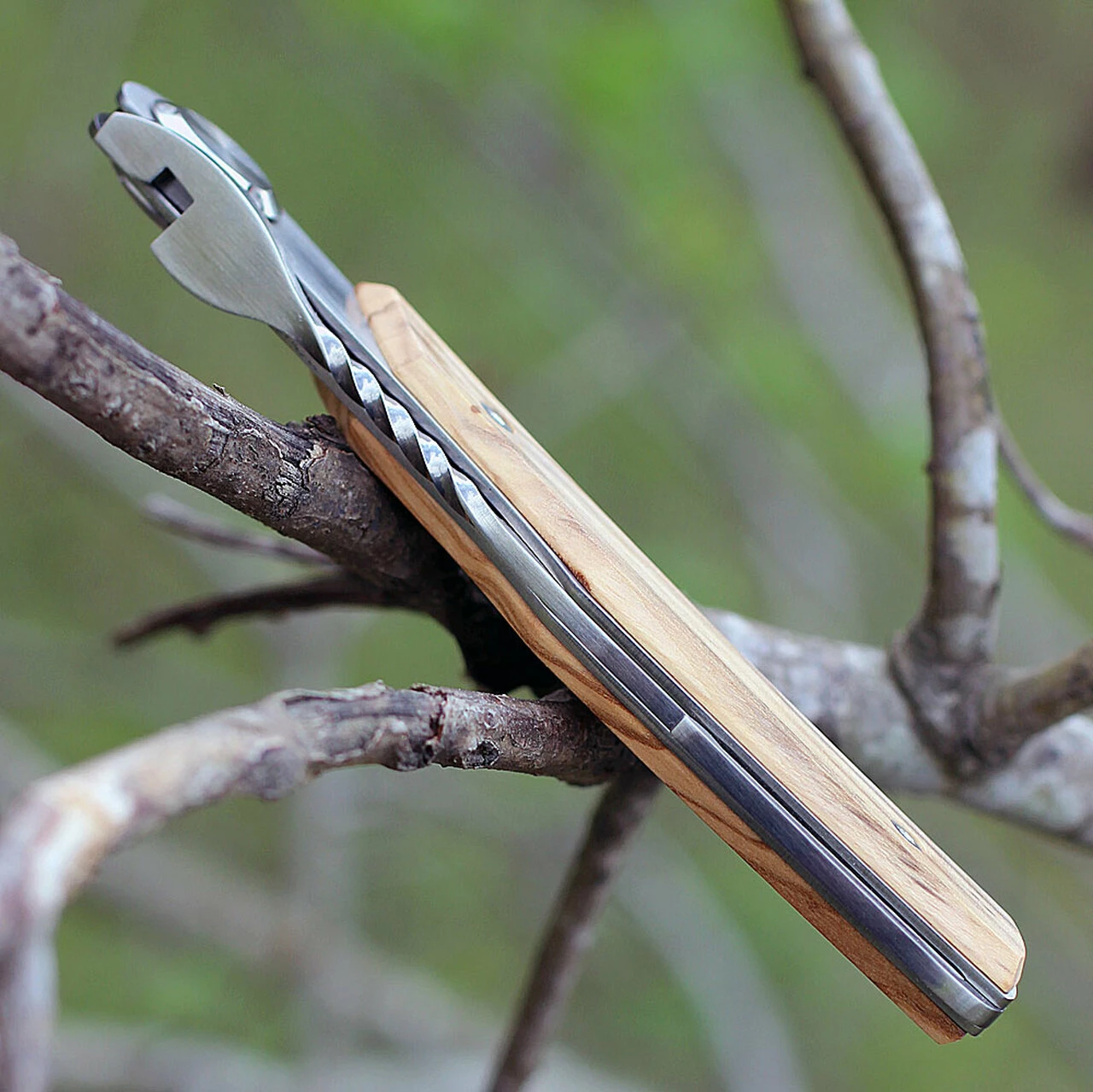 New 💯 Actilam T3WC Olive Wood Folder w/ Clip, 3.25 in X50CrMoV15N Plain Blade ❤️ 3 New 💯 Actilam T3WC Olive Wood Folder w/ Clip, 3.25 in X50CrMoV15N Plain Blade ❤️ - Image 3