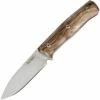 Outlet ⌛ LionSteel B35WN, 3.54" Sleipner Steel Satin Blade, Walnut Wood Handle 🔔