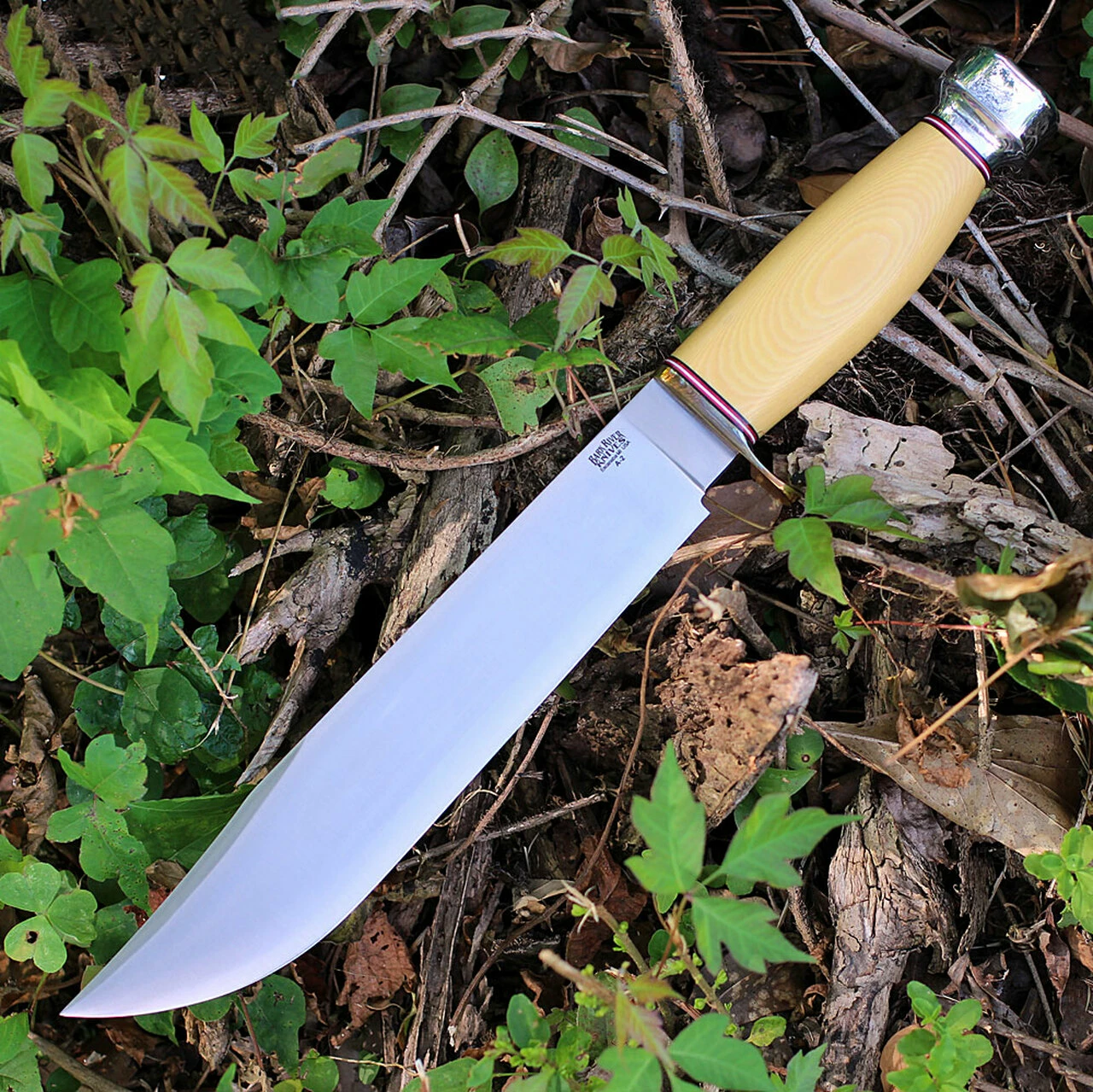 Buy 💯 Bark River Knives Bark River 09214PMAI 1909 Michigan Bowie, 10" A-2 Plain Blade, Antique Ivory Micarta Handle ⭐ 1 Buy 💯 Bark River Knives Bark River 09214PMAI 1909 Michigan Bowie, 10" A-2 Plain Blade, Antique Ivory Micarta Handle ⭐