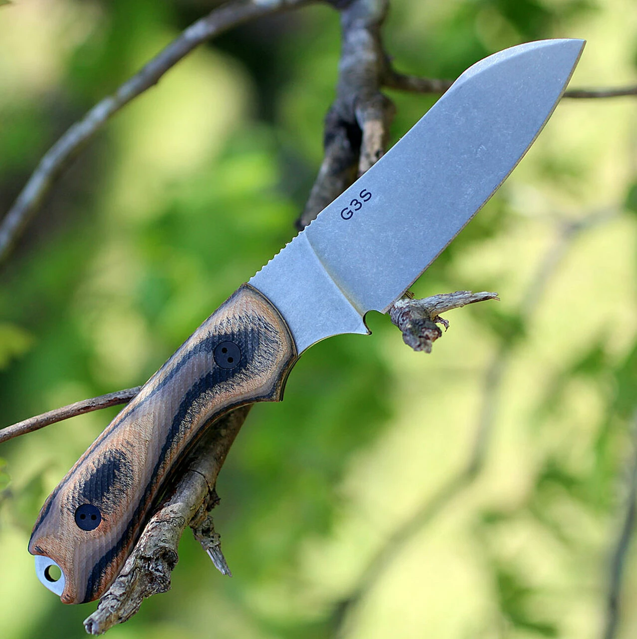 Budget 🎉 Bradford Guardian3 3D, 3.625" N690 Sheepfoot Blade, G-Wood Handle 😀 2 Budget 🎉 Bradford Guardian3 3D, 3.625" N690 Sheepfoot Blade, G-Wood Handle 😀 - Image 2