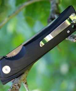 Top 10 🤩 Bestech Paladin BG13A-2, 3.54" D2 Steel Black/Satin Plain Blade, Black G-10 Handle 😍 -Automatic Knives shop btbg13a2.3 42024.1566585987