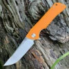 Coupon 🤩 Bestech Paladin BG13C-1, 3.54" D2 Steel Stonewash Plain Blade, Orange G-10 Handle ✨