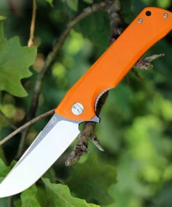 Buy 🛒 Bestech Paladin BG13C-2, 3.54" D2 Steel Black/Satin Plain Blade, Orange G-10 Handle 🤩