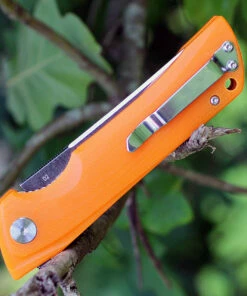 Buy 🛒 Bestech Paladin BG13C-2, 3.54" D2 Steel Black/Satin Plain Blade, Orange G-10 Handle 🤩 -Automatic Knives shop btbg13c2.3 15571.1566585995