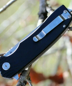 Best Pirce 🔔 Bestech G01A Lion, 3.5" D2 Plain Blade, Black G-10 Handle 🛒 7 Best Pirce 🔔 Bestech G01A Lion, 3.5" D2 Plain Blade, Black G-10 Handle 🛒 -Automatic Knives shop btkg01a.3 22767.1566585977