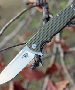 Best Pirce ⭐ Bestech G02C Grampus, 3.5" D2 Plain Blade, Army Green G-10 Handle ⌛