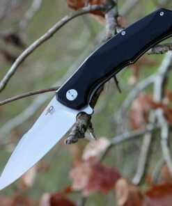 Brand new 😀 Bestech G04A Warwolf, 3.5" D2 Plain Blade, Black G-10 Handle ⭐