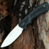 Best reviews of ⭐ Buck Knives Buck 685BKS BuckLite Max II, 4" 420HC Plain Blade, Black Rubber Handle 😍