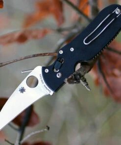 Coupon 😀 Spyderco Knives Spyderco C103GP P'Kal, 2.95" CPM S30V, G-10 Handle 🧨