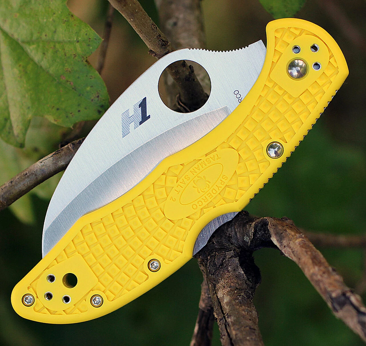 Coupon 💯 Spyderco Knives Spyderco Tasman Salt 2 FRN Yellow C106PYL2, 2.80 " H-1 Plain Blade 🛒 3 Coupon 💯 Spyderco Knives Spyderco Tasman Salt 2 FRN Yellow C106PYL2, 2.80 " H-1 Plain Blade 🛒 - Image 3