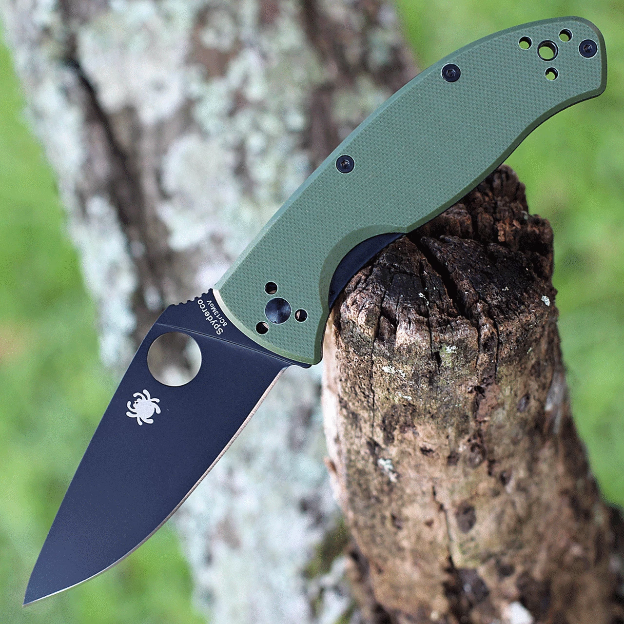 Brand new 💯 Spyderco Knives Spyderco C122GPBGR Tenacious, 3.39" 8CR13MoV Black Plain Blade, Green G-10 Handle 🎁 1 Brand new 💯 Spyderco Knives Spyderco C122GPBGR Tenacious, 3.39" 8CR13MoV Black Plain Blade, Green G-10 Handle 🎁