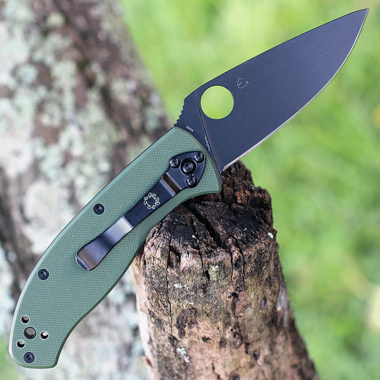 Brand new 💯 Spyderco Knives Spyderco C122GPBGR Tenacious, 3.39" 8CR13MoV Black Plain Blade, Green G-10 Handle 🎁 2 Brand new 💯 Spyderco Knives Spyderco C122GPBGR Tenacious, 3.39" 8CR13MoV Black Plain Blade, Green G-10 Handle 🎁 - Image 2