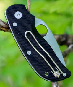 Hot Sale 🌟 Spyderco Knives Spyderco Cat G-10 C129GP, 2.438" BD1 Plain Blade, G-10 Handle 🧨 -Automatic Knives shop c129gp.2 14405.1566587208