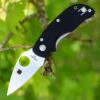 Hot Sale 🌟 Spyderco Knives Spyderco Cat G-10 C129GP, 2.438" BD1 Plain Blade, G-10 Handle 🧨
