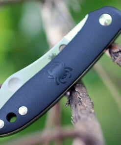Coupon 🌟 Spyderco Knives Spyderco Roadie Slipjoint - Black FRN (2.09" N690co) C189PBK 🛒 -Automatic Knives shop c189pbk.1 34301.1566586527