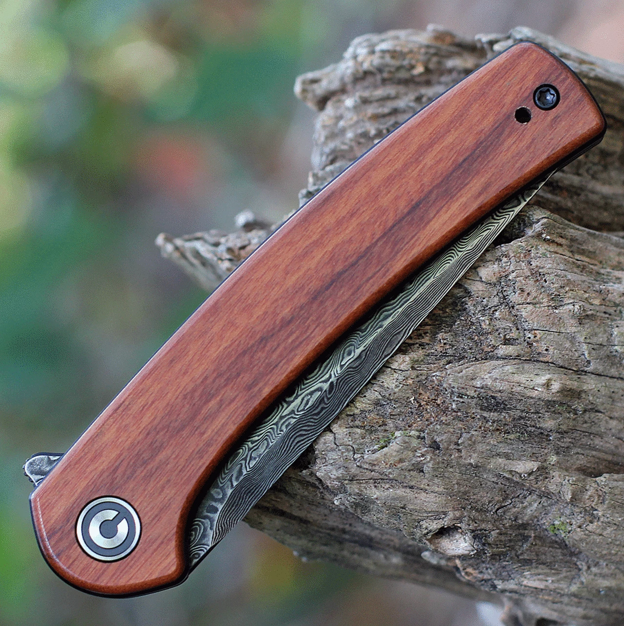 Best deal 🎁 CIVIVI Knives CIVIVI Mini Asticus - Cuibourtia Wood (3.25" Dam.) C19026B-DS2 ✔️ 3 Best deal 🎁 CIVIVI Knives CIVIVI Mini Asticus - Cuibourtia Wood (3.25" Dam.) C19026B-DS2 ✔️ - Image 3