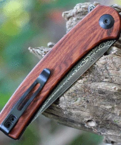 Best deal 🎁 CIVIVI Knives CIVIVI Mini Asticus - Cuibourtia Wood (3.25" Dam.) C19026B-DS2 ✔️ 7 Best deal 🎁 CIVIVI Knives CIVIVI Mini Asticus - Cuibourtia Wood (3.25" Dam.) C19026B-DS2 ✔️ -Automatic Knives shop c19026b ds2.3 77596.1631281244