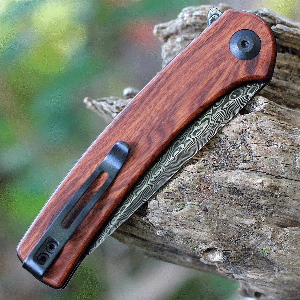 Best deal 🎁 CIVIVI Knives CIVIVI Mini Asticus - Cuibourtia Wood (3.25" Dam.) C19026B-DS2 ✔️ 4 Best deal 🎁 CIVIVI Knives CIVIVI Mini Asticus - Cuibourtia Wood (3.25" Dam.) C19026B-DS2 ✔️ - Image 4