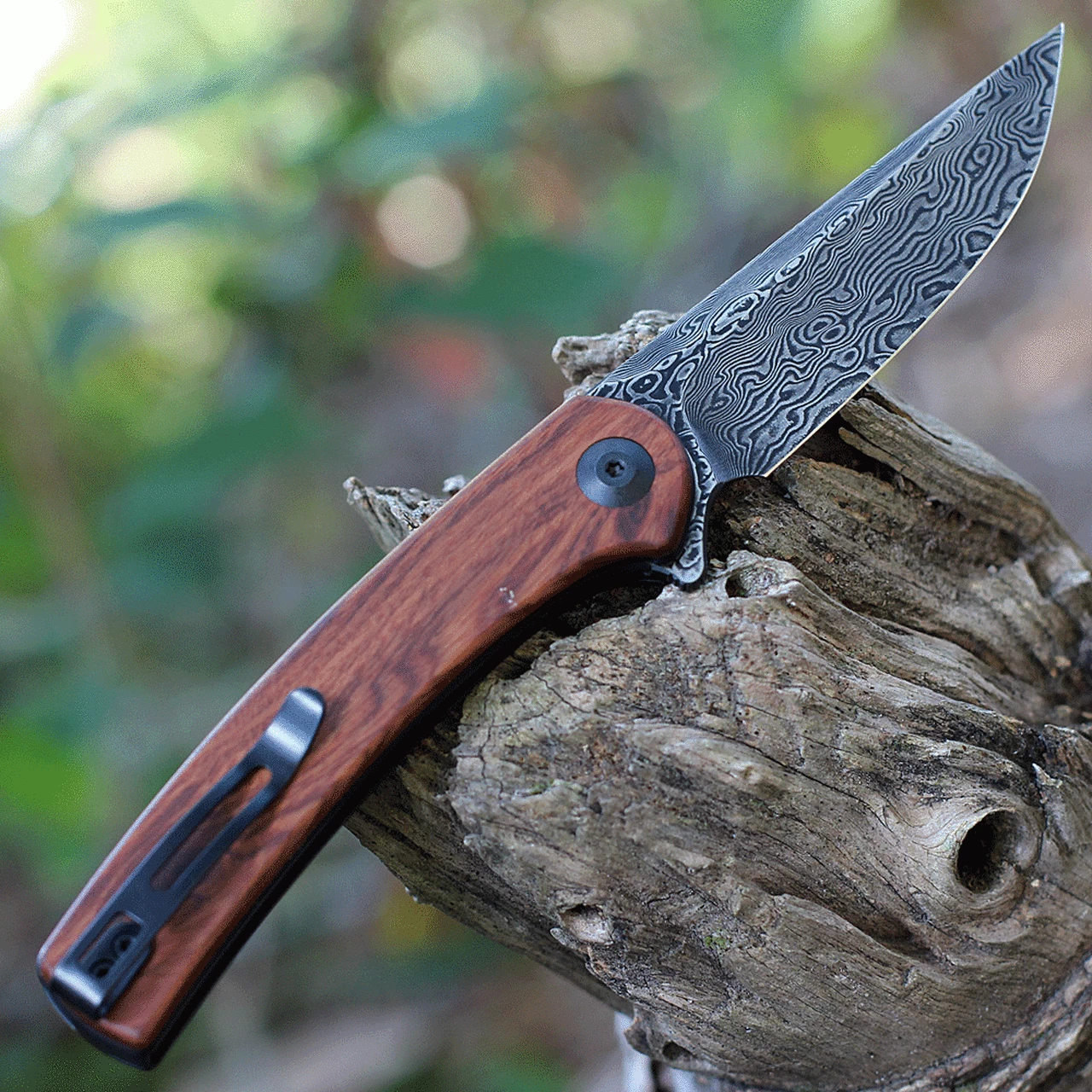 Best deal 🎁 CIVIVI Knives CIVIVI Mini Asticus - Cuibourtia Wood (3.25" Dam.) C19026B-DS2 ✔️ 2 Best deal 🎁 CIVIVI Knives CIVIVI Mini Asticus - Cuibourtia Wood (3.25" Dam.) C19026B-DS2 ✔️ - Image 2